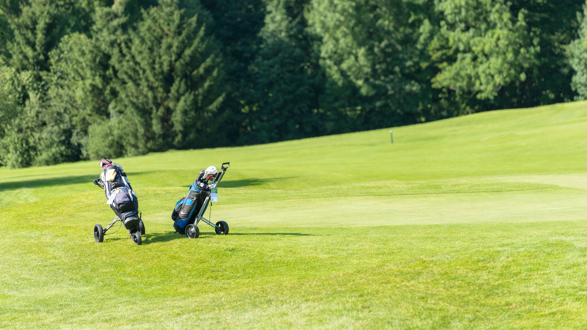 Zwei Golfer mit Golfwagen auf einem gepflegten Golfplatz im Freien unterwegs und genießen die Natur.