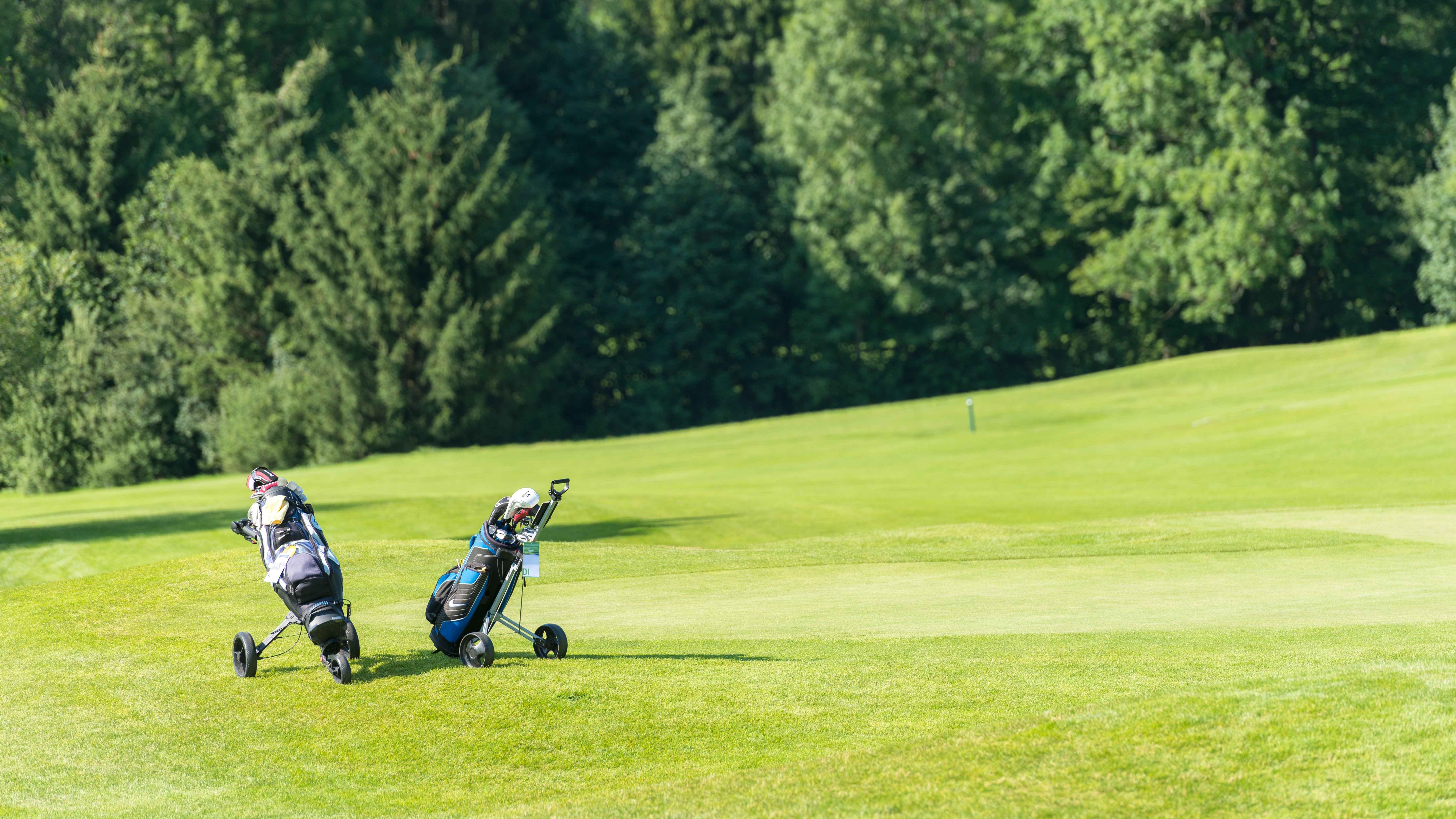 Golfvergnügen im Bregenzerwald Zwei Golfer mit Golfwagen auf einem gepflegten Golfplatz im Freien unterwegs und genießen die Natur.