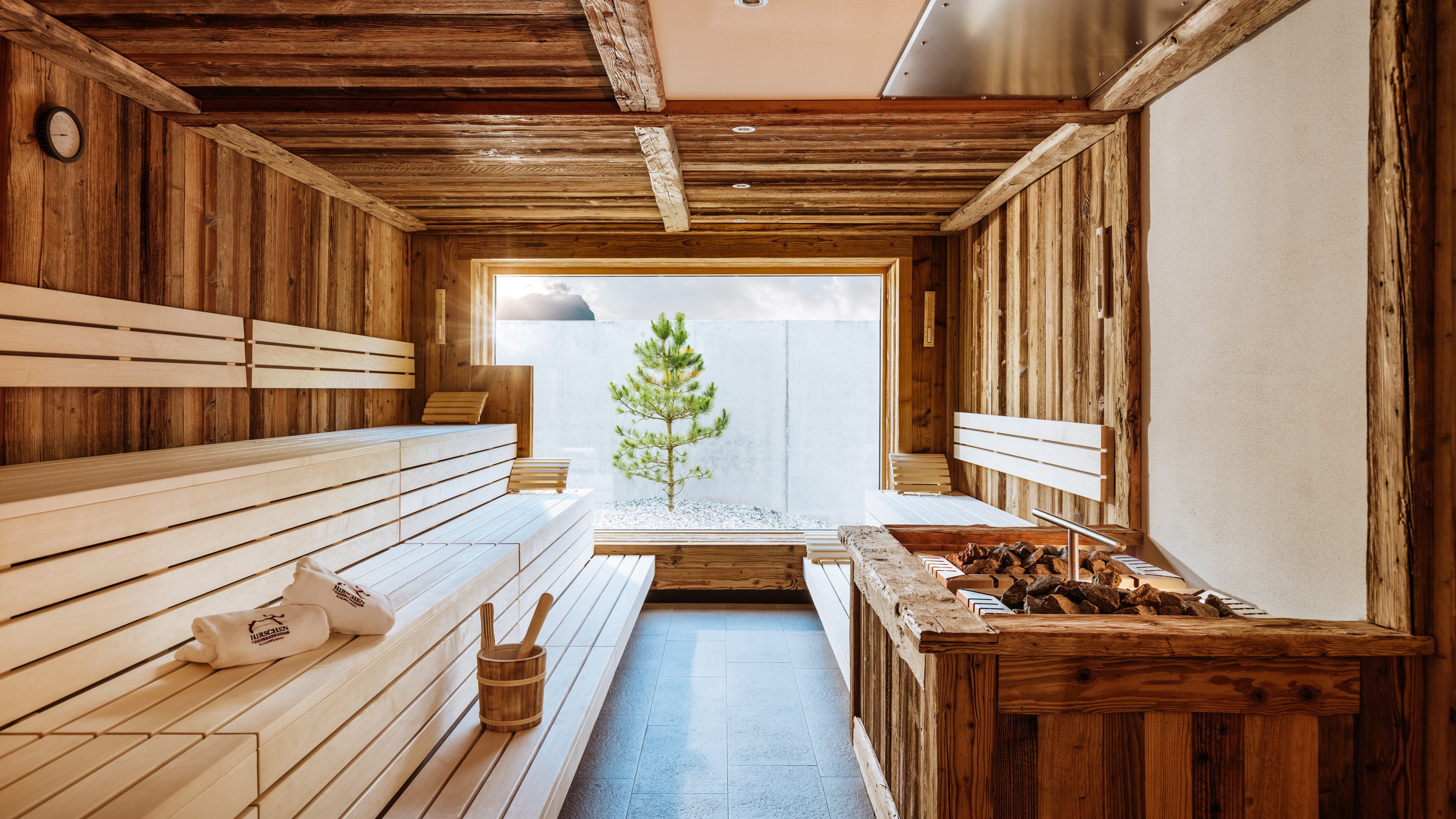 Entspannung in der hölzernen Sauna Innenansicht einer Sauna mit Holzbank und Ausblick auf einen Baum im Freien für Wellnesserlebnisse.