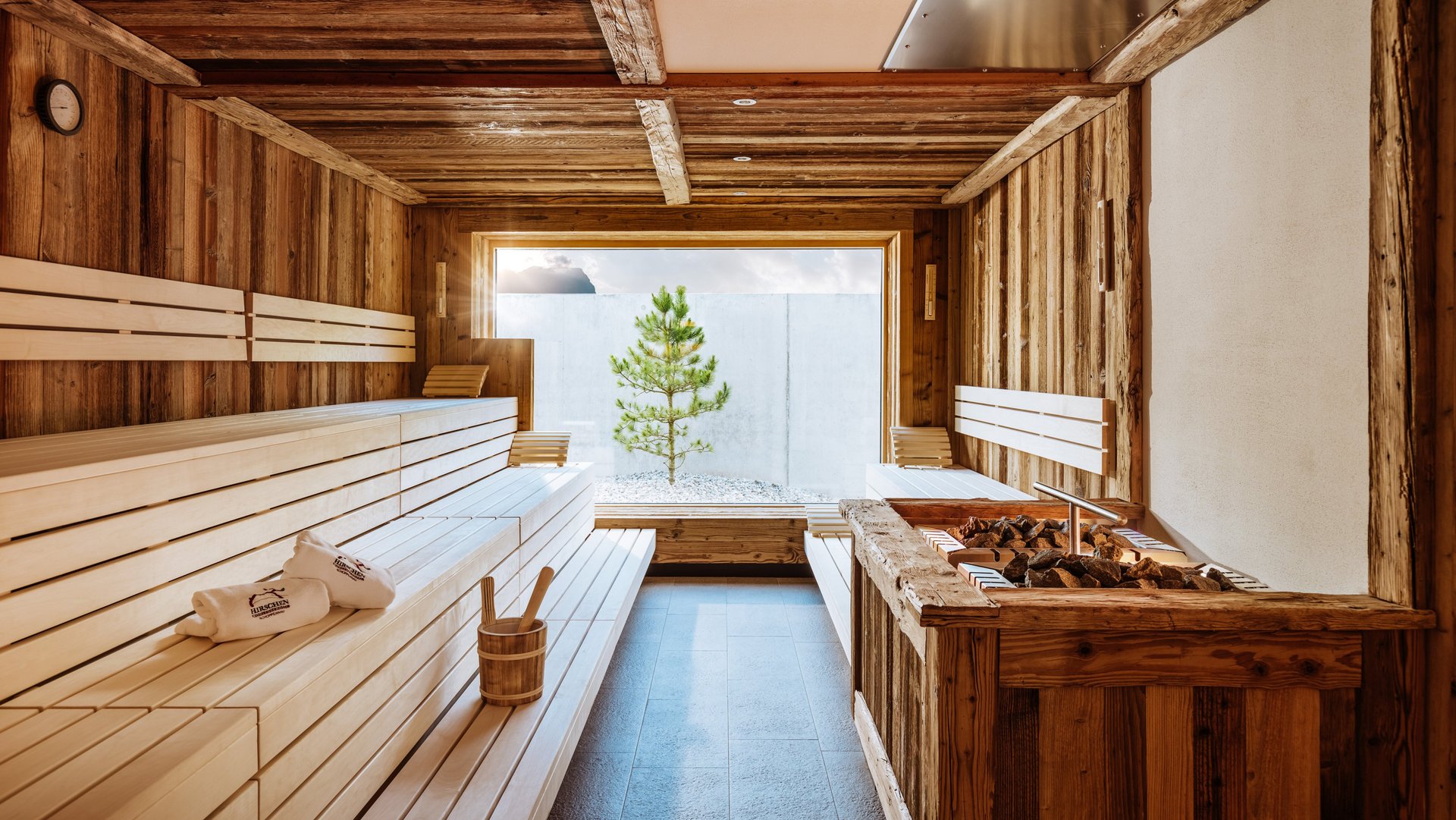 Innenansicht einer Sauna mit Holzbank und Ausblick auf einen Baum im Freien für Wellnesserlebnisse.