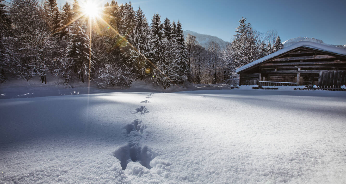 medres_00000034172-winterzauber-oesterreich-werbung-Sebastian Stiphout