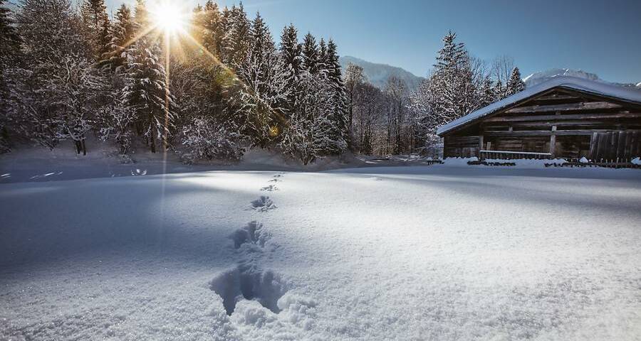 Bregenz_Spuren_im_Schnee