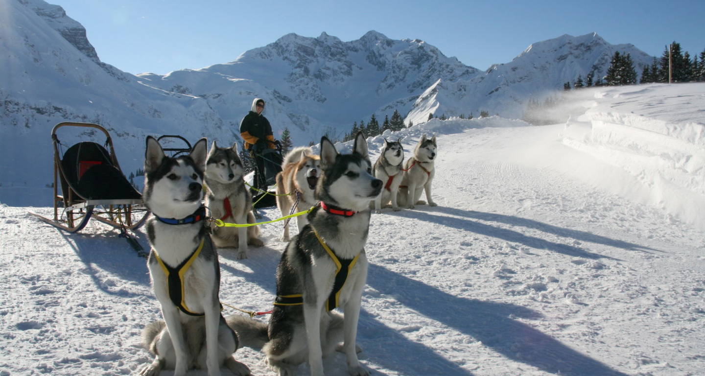 husky-tourc-marc-van-landeghem-bregenzerwald-tourismus-a5-jpg