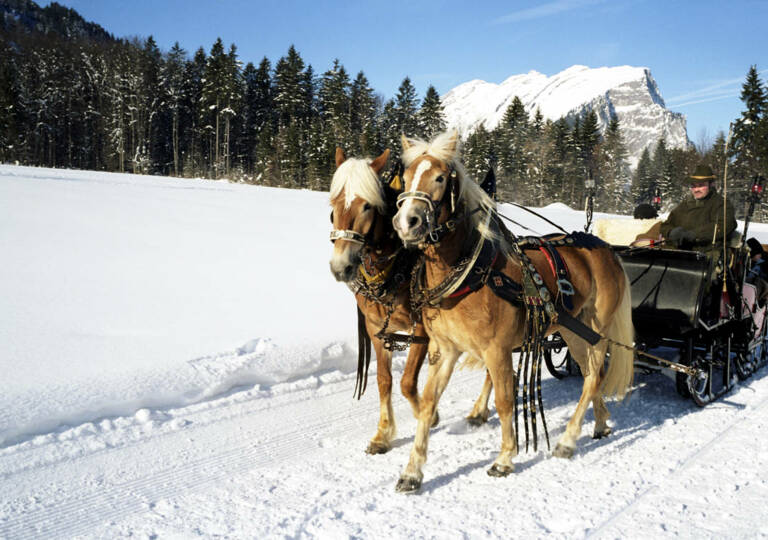 231-Pferdekutschenfahrt in Au-Schoppernau (c) Christoph Lingg - Bregenzerwald Tourismus 2